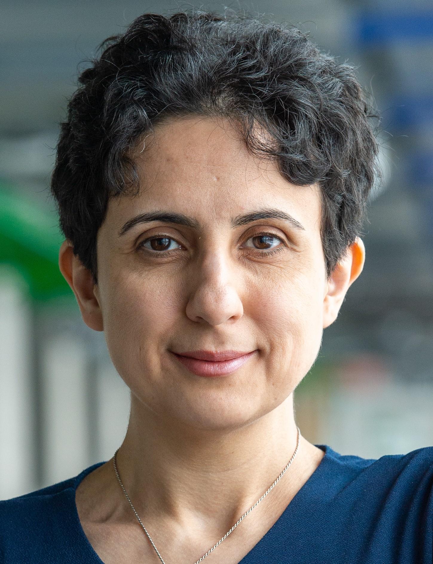 Shiva Nejati
