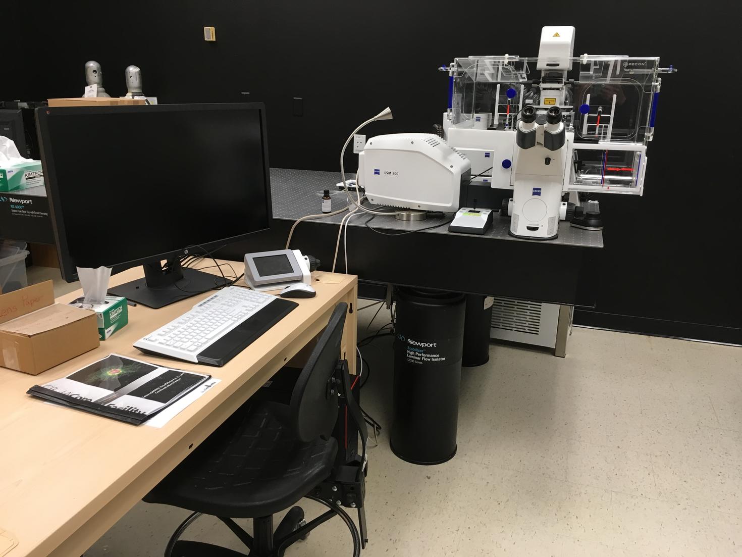 lsm 800 microscope