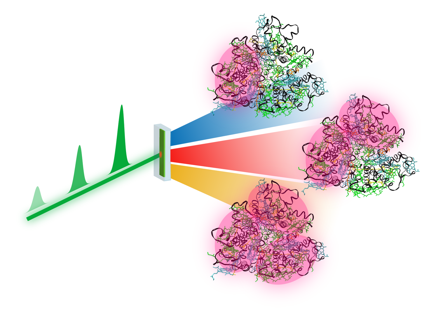 In the new method, laser pulses of different power (green) are combined in such a way that single excitation (blue), double excitation (red) and triple excitation (yellow) can be distinguished, for example, in biological light-harvesting complexes (Image: Julian Lüttig, University of Würzburg).