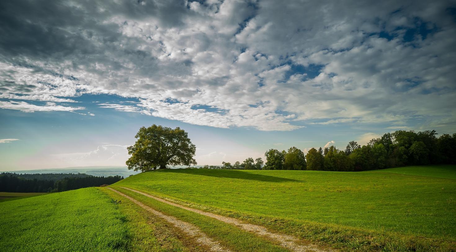Banner country road