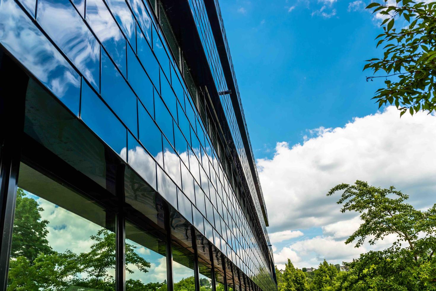 Glass windows reflecting the trees in front of them.