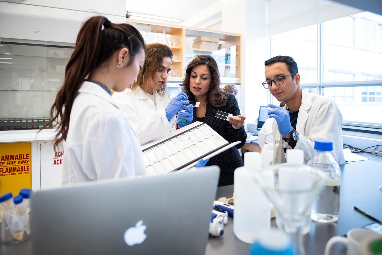 Our Members | Research and innovation