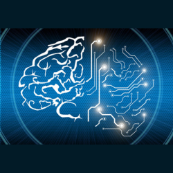 Representation of a brain with digital circuit