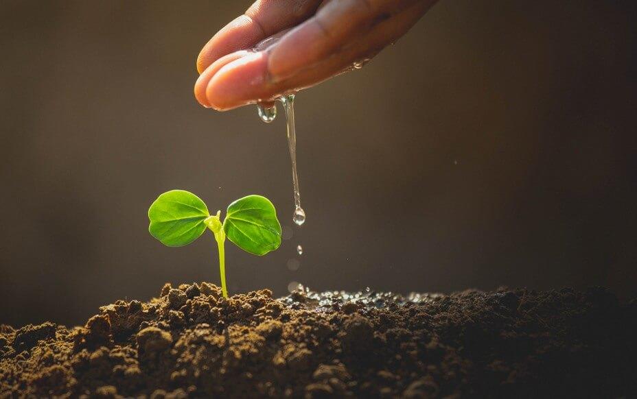 Water management