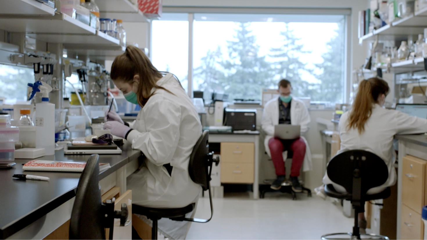 Three researchers working in a lab