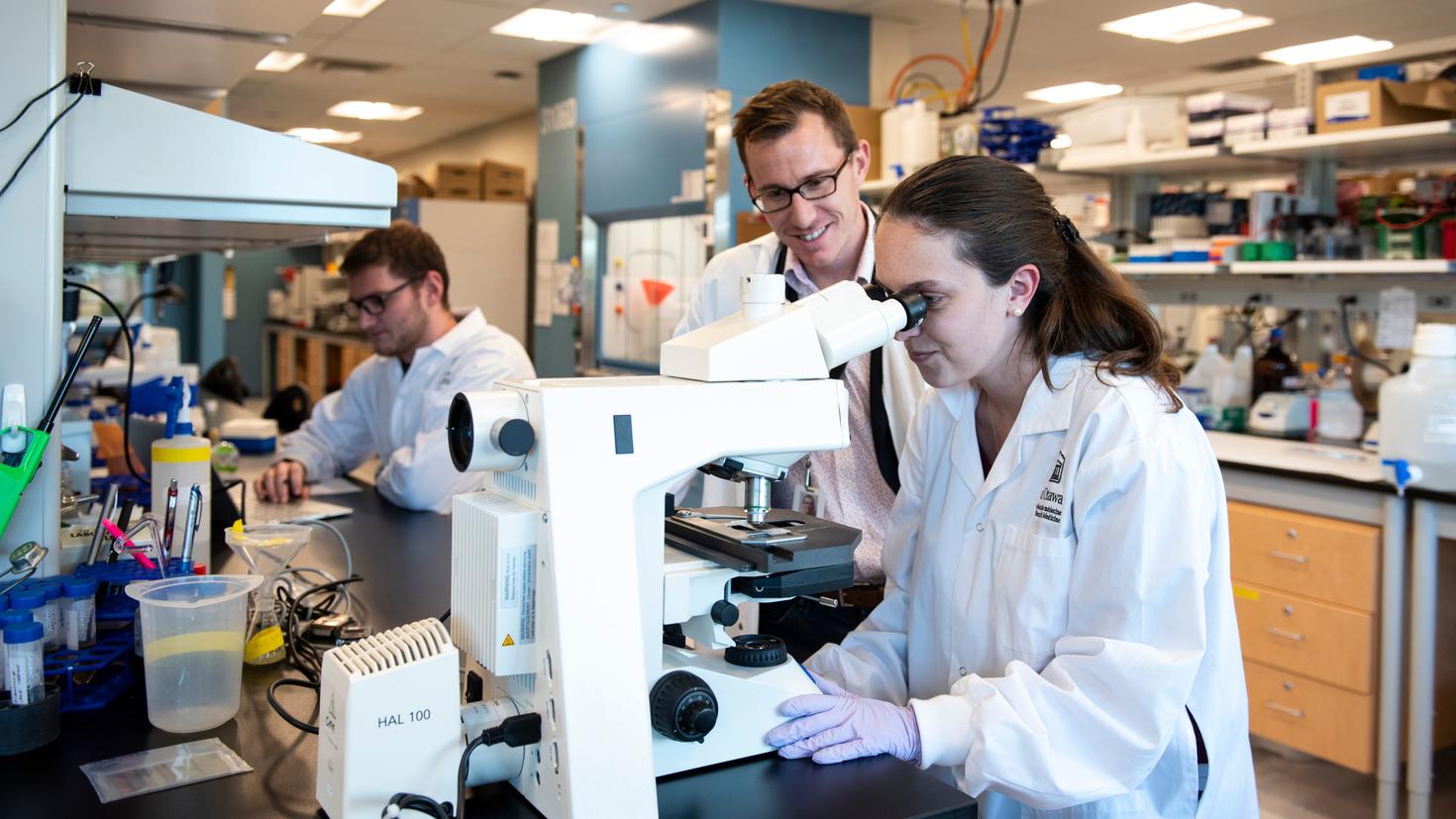 Lab photo.