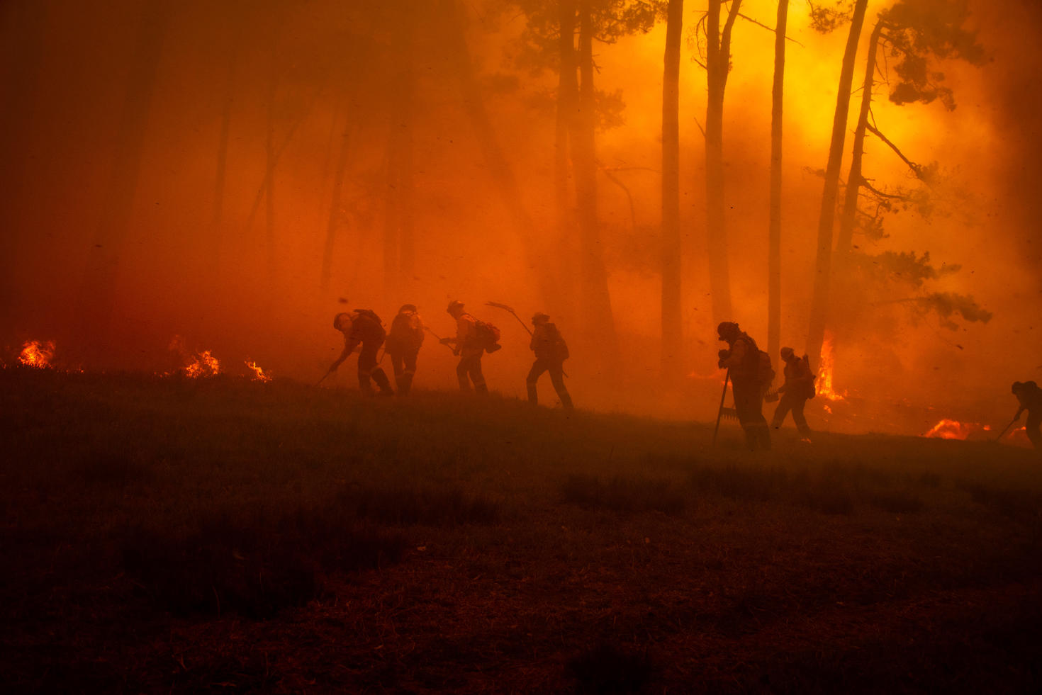 Photo of a wildfire