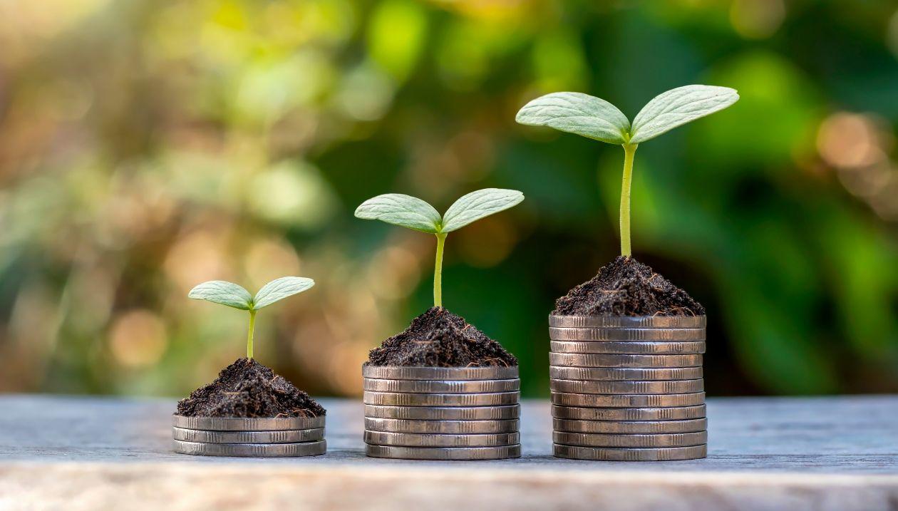 Coins growing plants