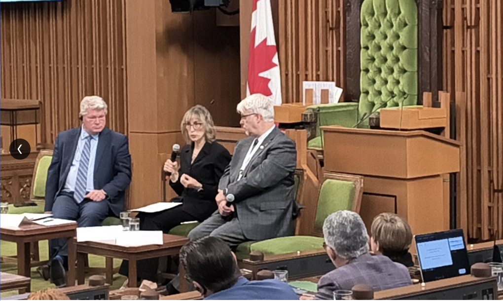 Dr. Monica Gattinger speaking in the HOUSE OF COMMONS