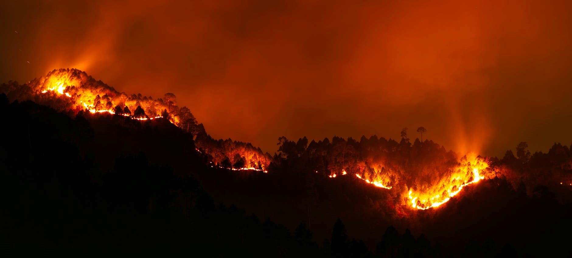 Scene of a major forest fire at night