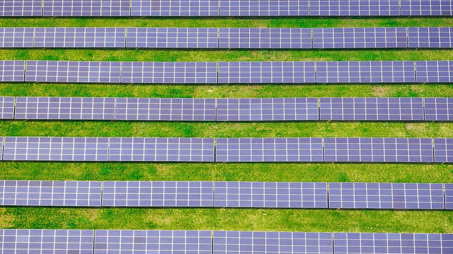 Field of Solar Panels