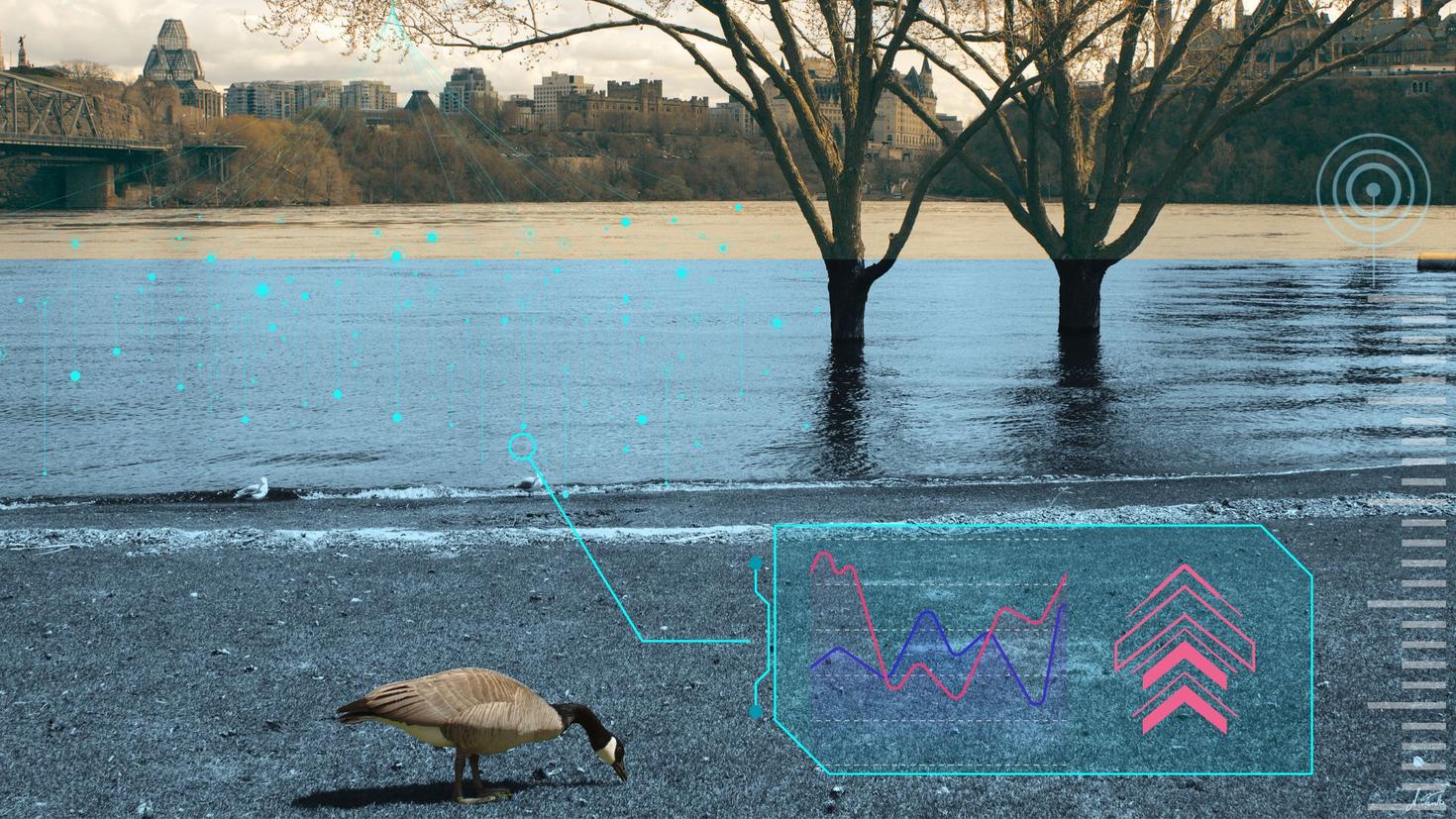 Flooded Ottawa River with illustration elements of tech and AI