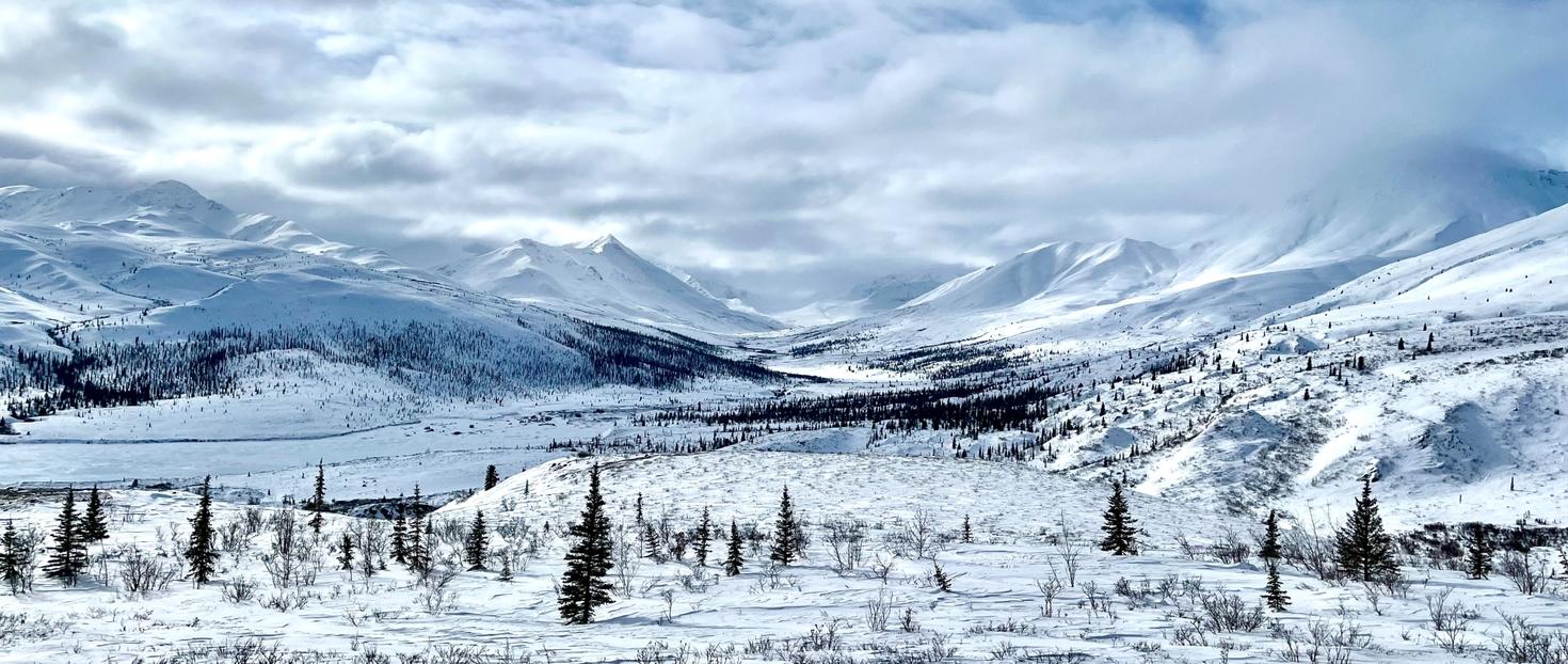 Wintery scene