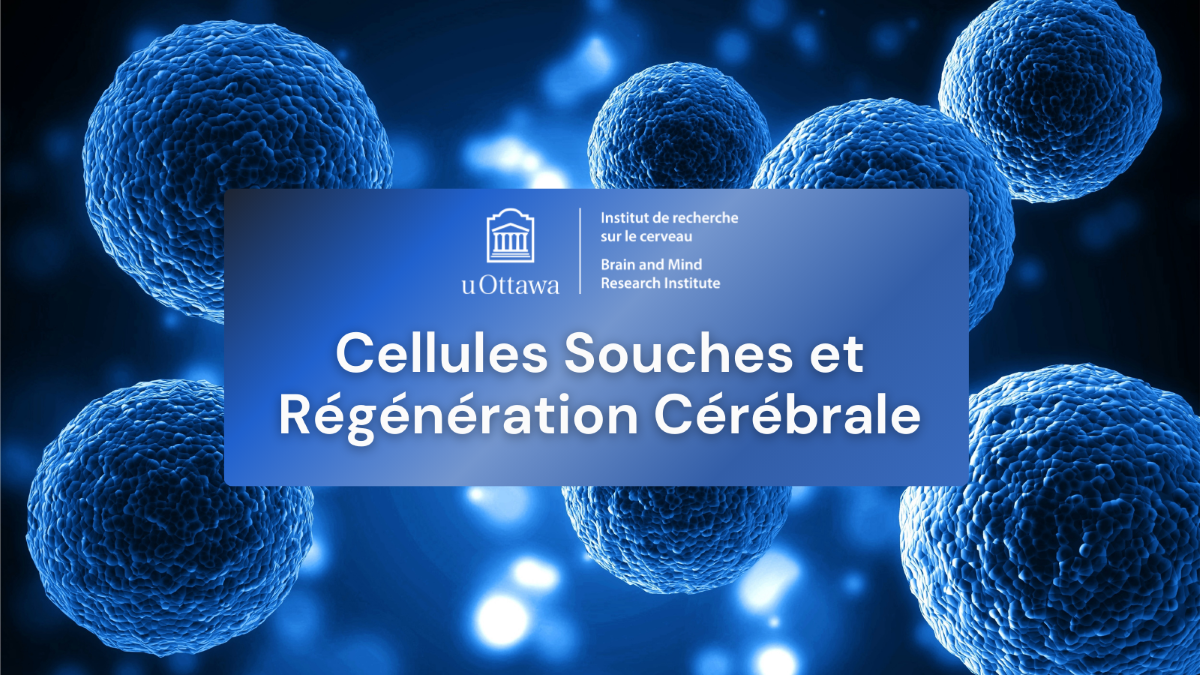 Sitemapcdatahttpgetcellcare1comarrache Souche Kiloutounull