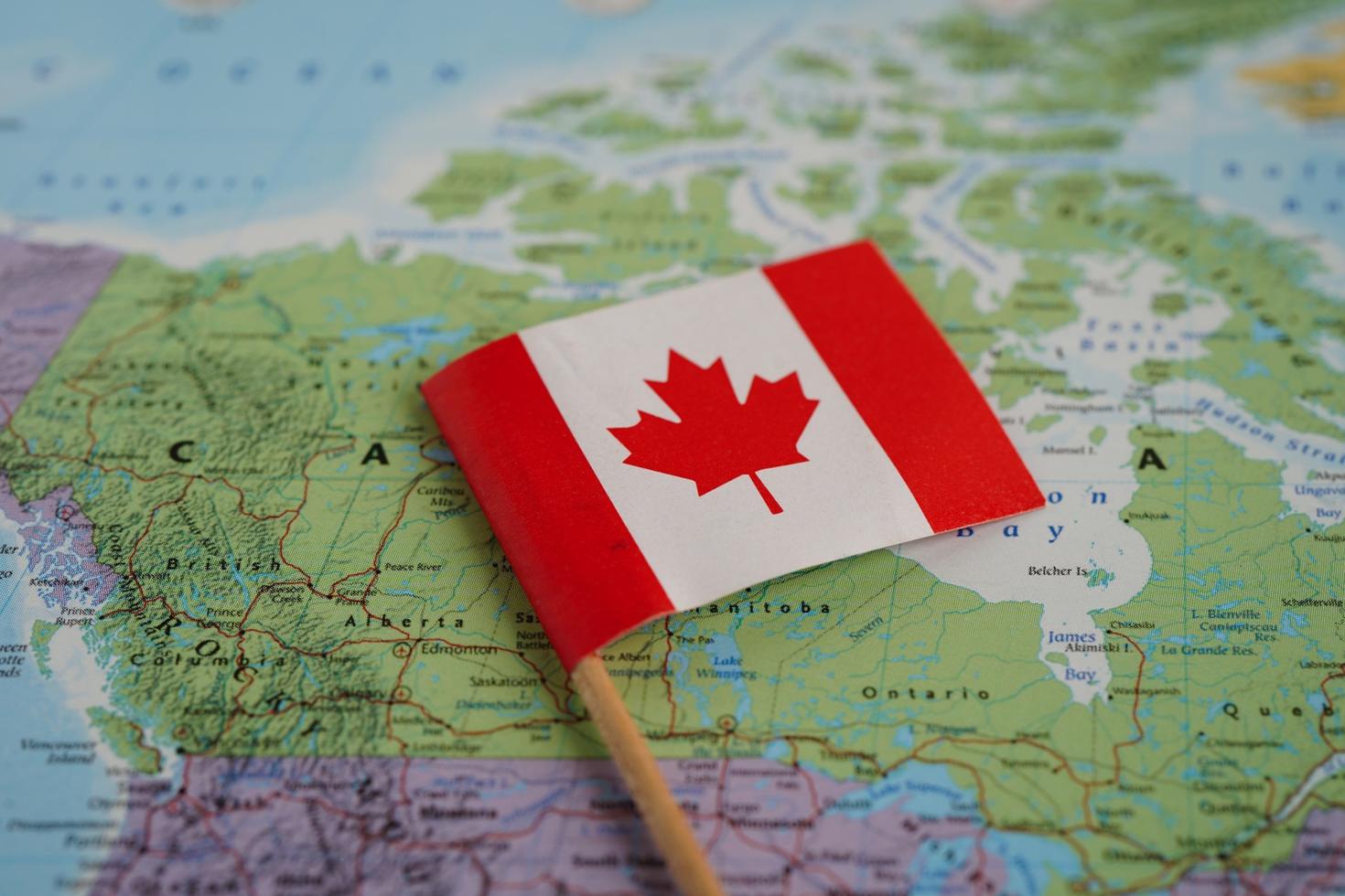 How to avoid immigration and recruitment scams? 