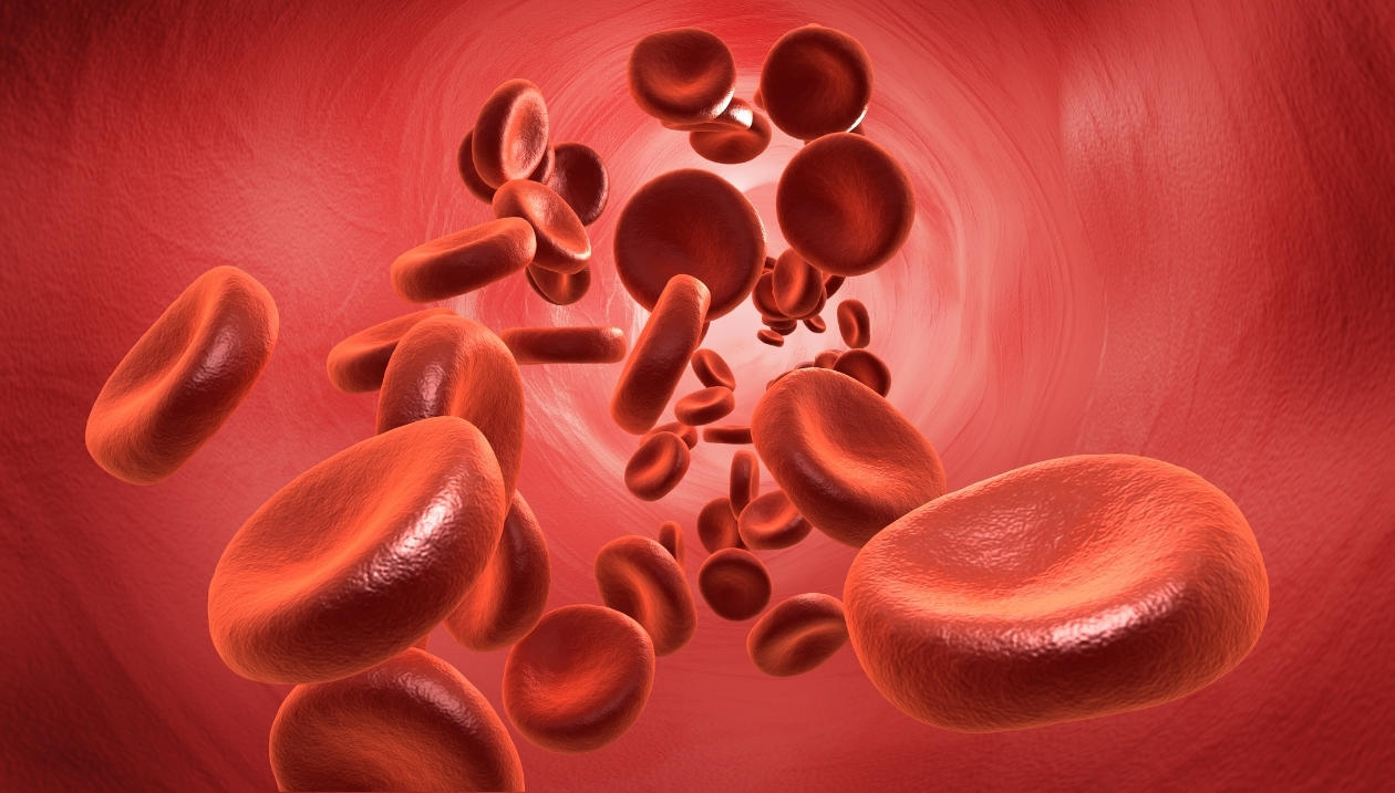 Bloodstream.