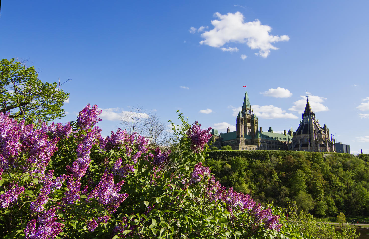 Image of the Parliament of Canada from Gatineau 