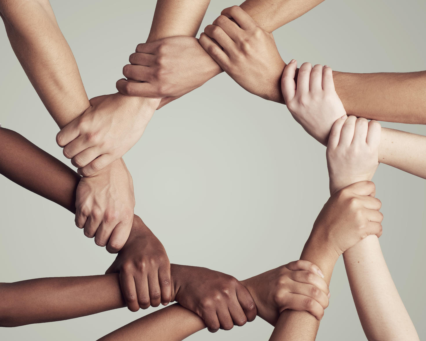 united through diversity
