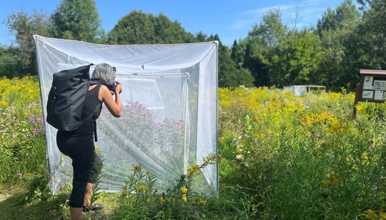 Artist Valérie Chartrand in action in a field. 