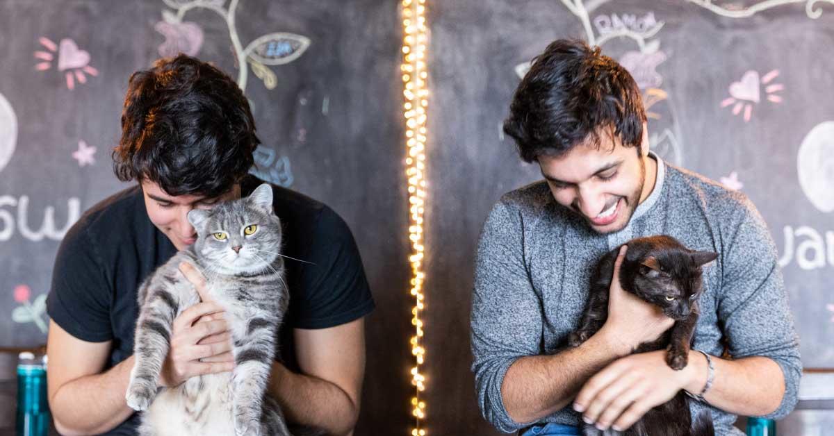 Ismail Benmbarek et Ali Kazal tiennent chacun un chat entre leurs mains.
