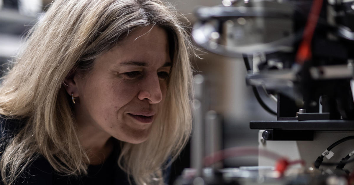 How the science and technology of light is transforming our lives ...