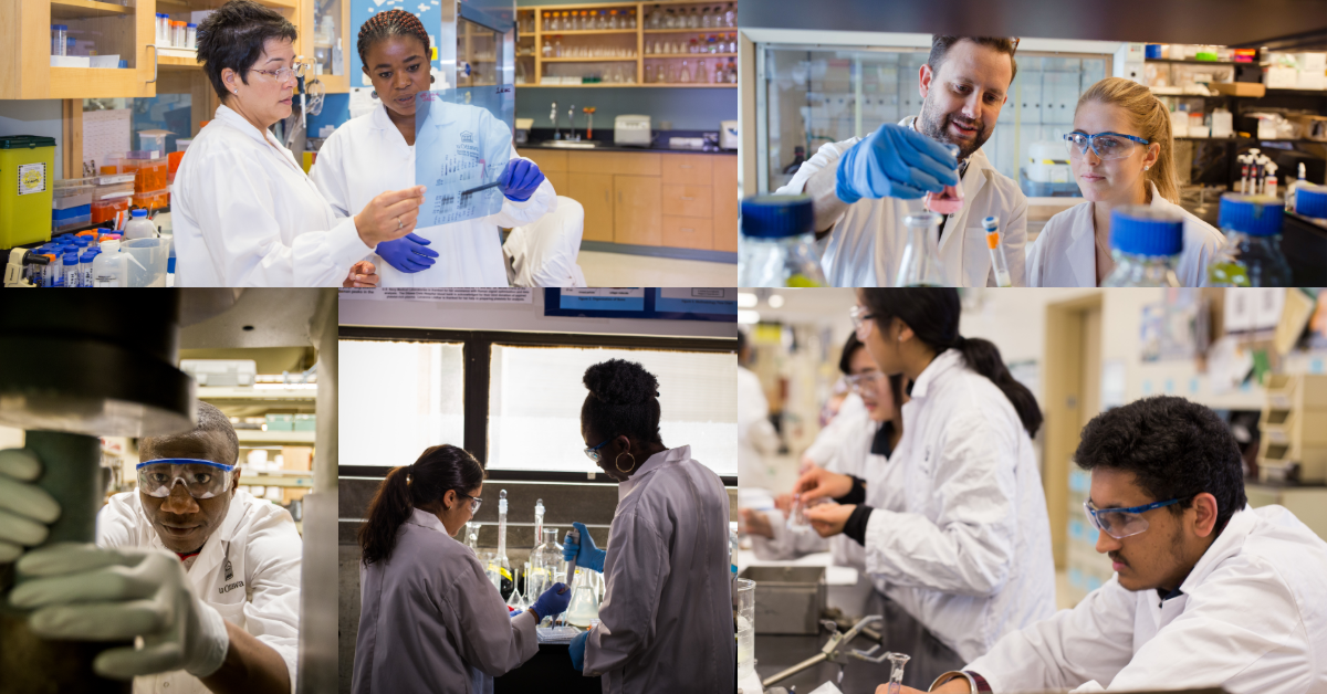 Photo collage of researchers from ethnic and gender diversity