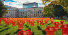 Tabaret Hall front lawn adorned with 800 orange t-shirt signs