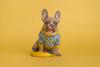 dog with a banana