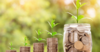 coins in jars with plant sprouts
