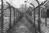 Black and white scene from a concentration camp