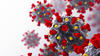 illustration du coronavirus covid 19