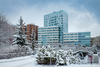 uOttawa campus in winter.