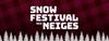 uOttawa Snow Festival Banner
