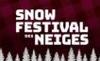 uOttawa Snow Festival Banner