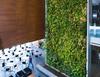 Living wall at the Faculty of Social Sciences