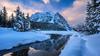 Winter landscape