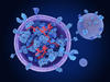 Exosomes blue