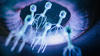 Phages close-up