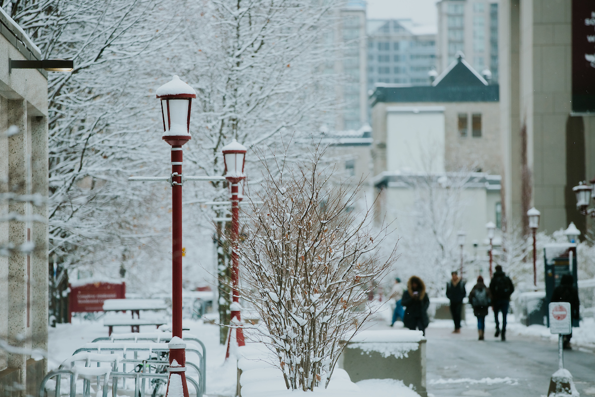 winter on campus