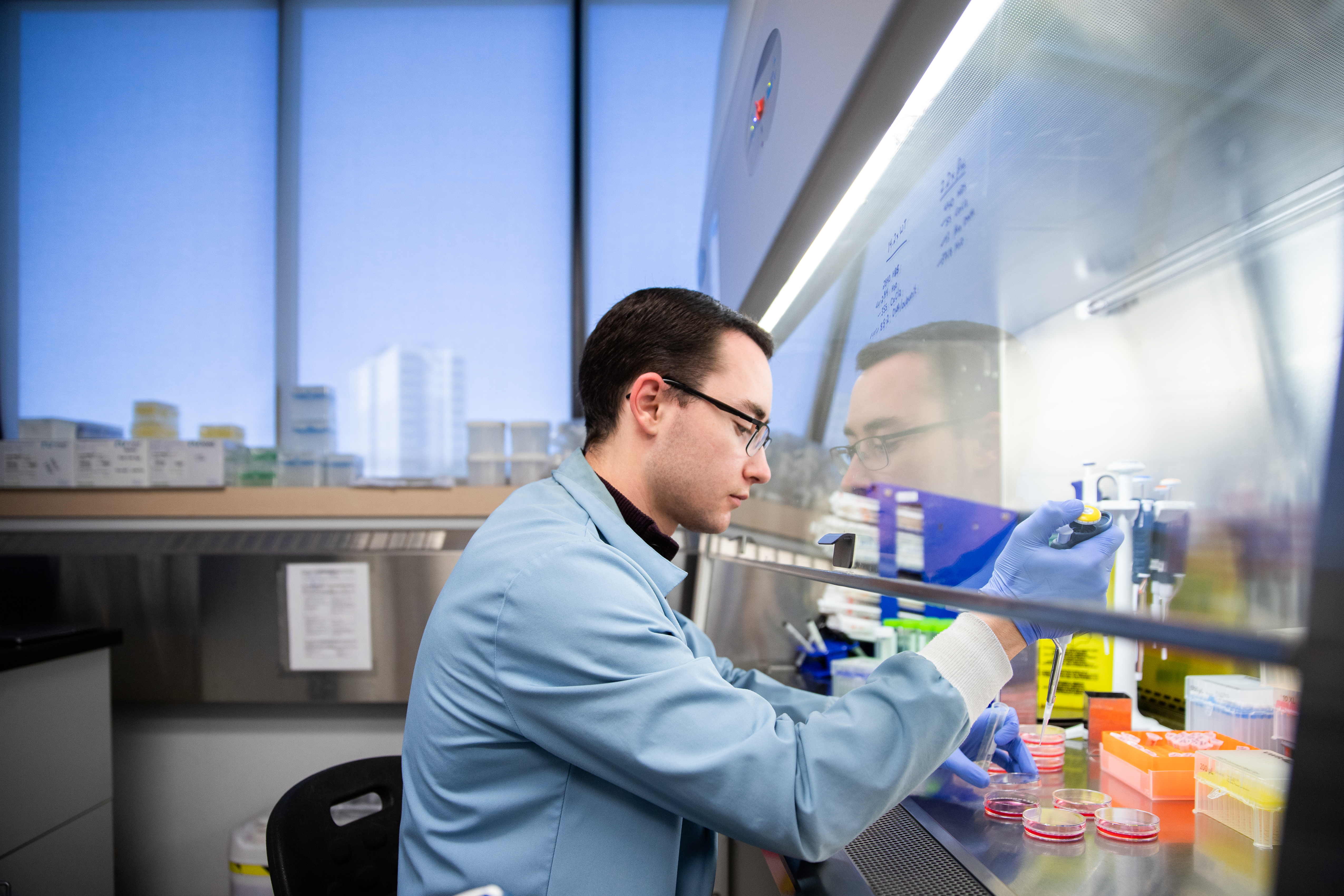 Student working in a lab