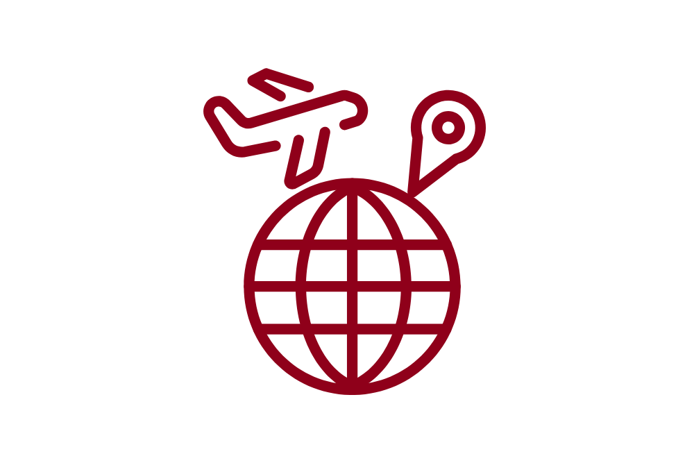 International icon