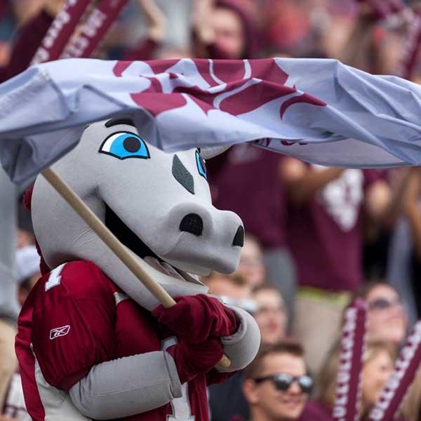 Gee-gees mascot waving a flag