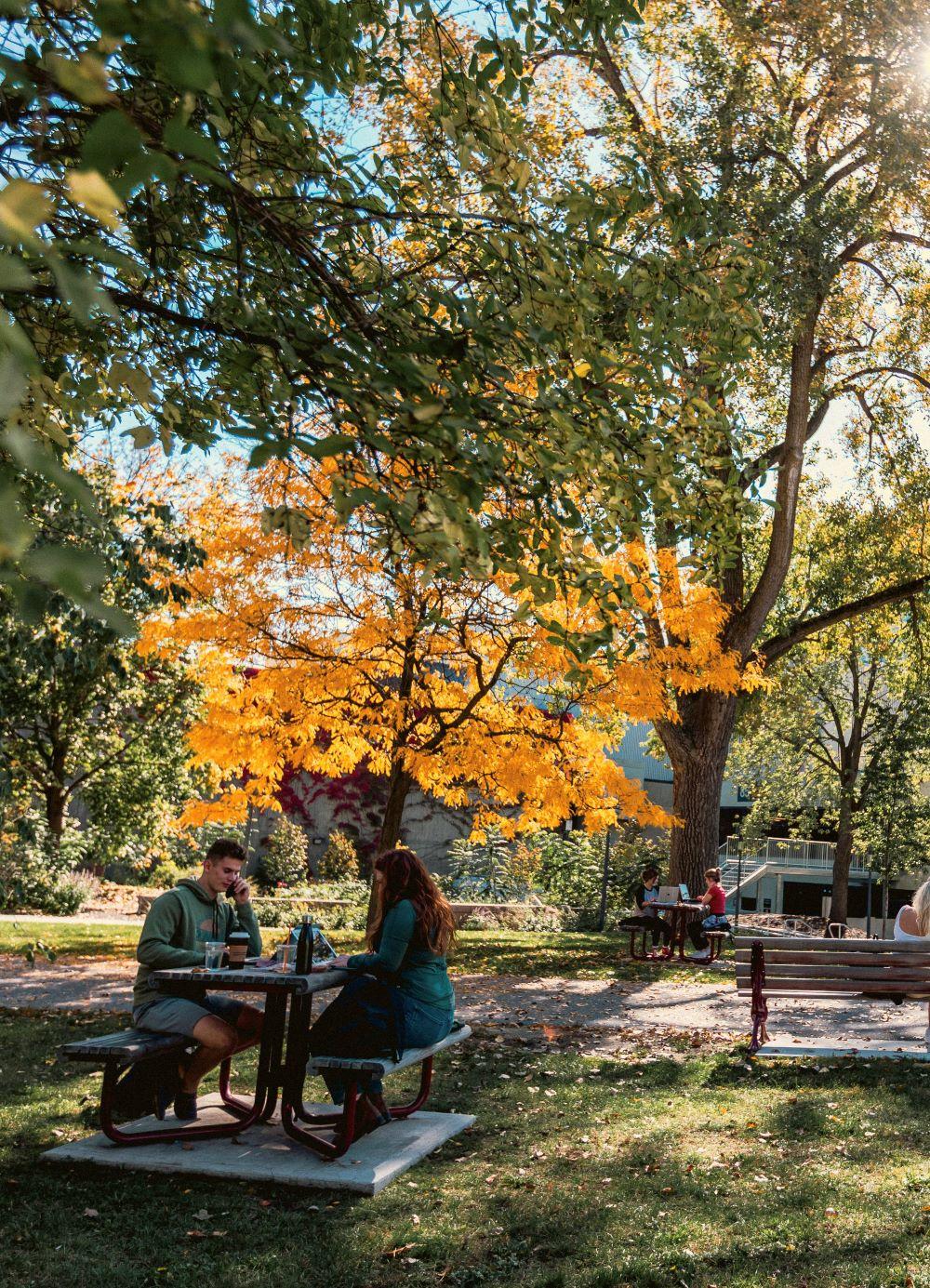 Campus on the fall