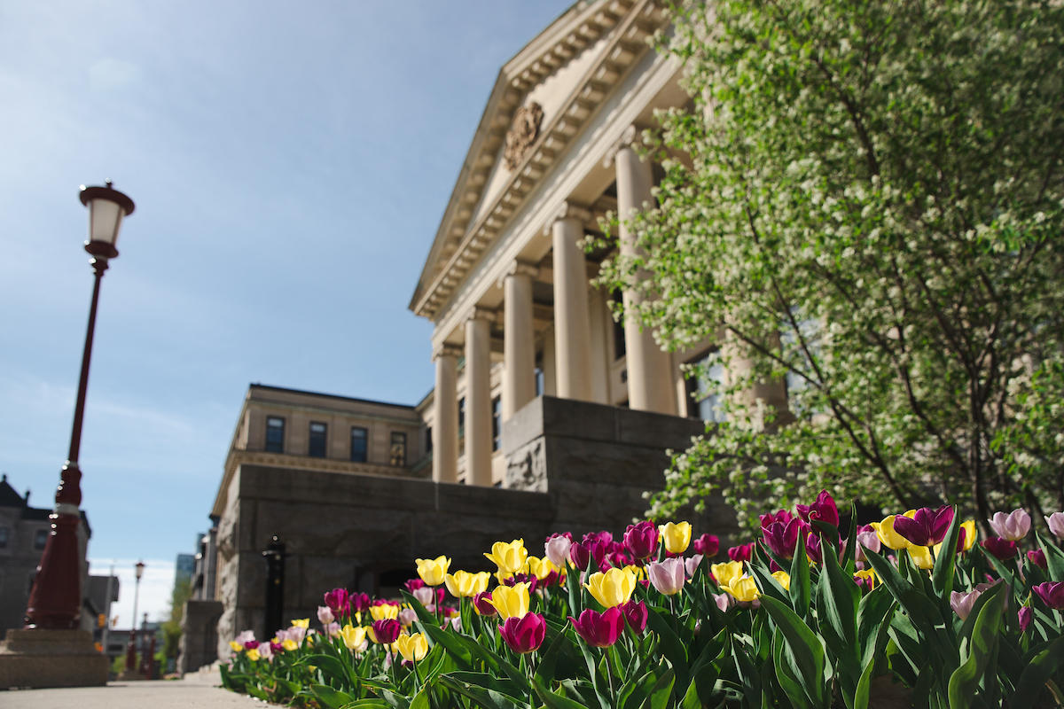 Tabaret Hall and tulips