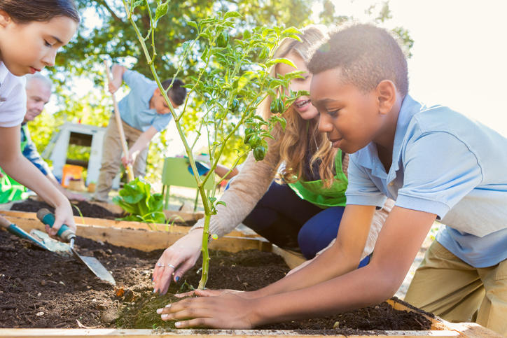 kids planting trees