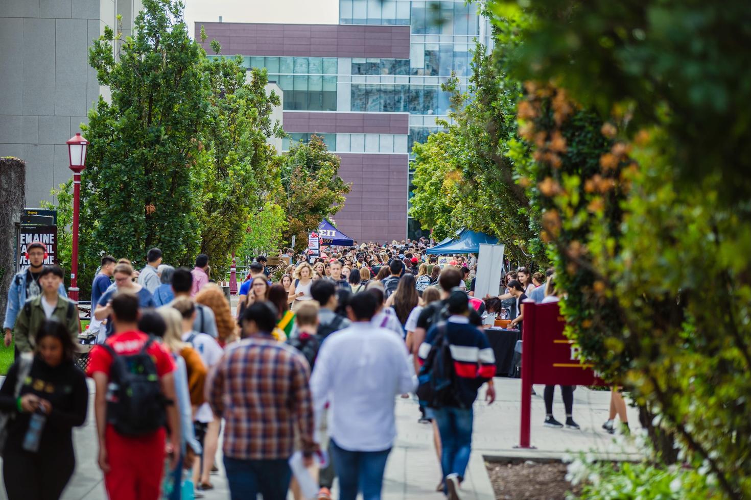 Crowd of students on campus