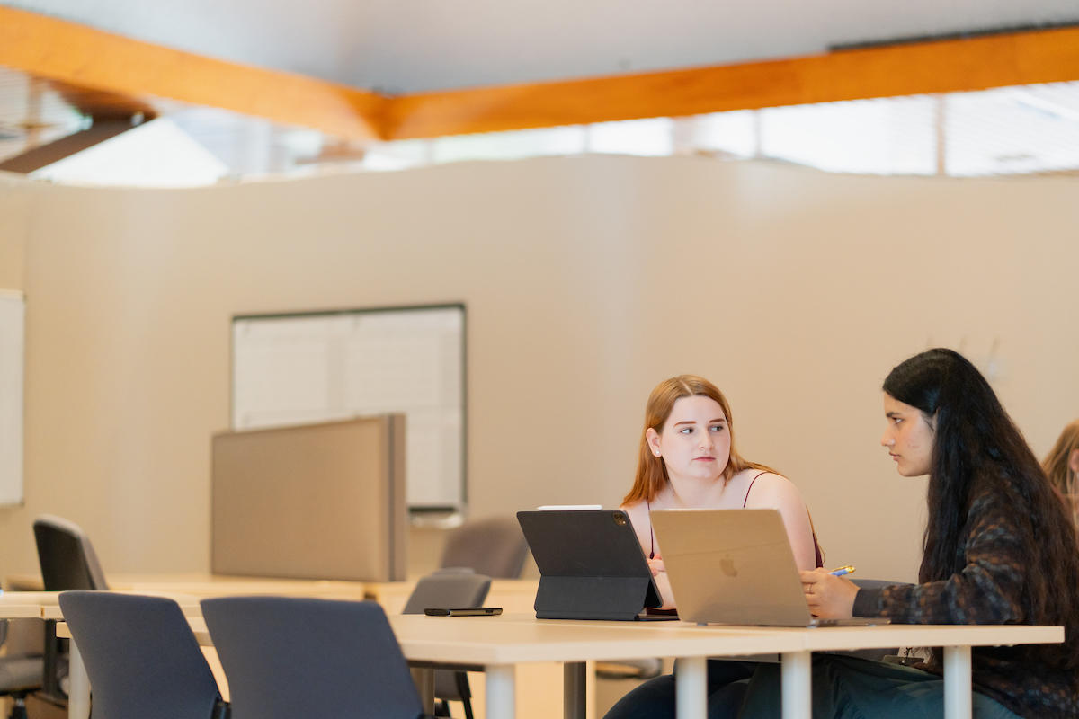 Two students working on computers