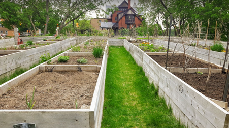 Community Gardens