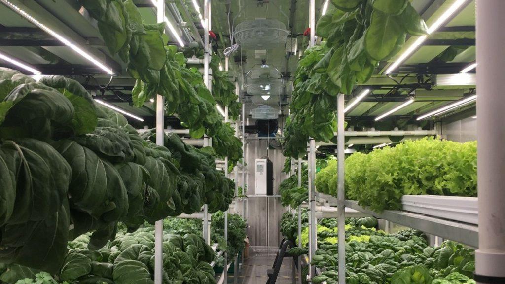 inside a growcer unit