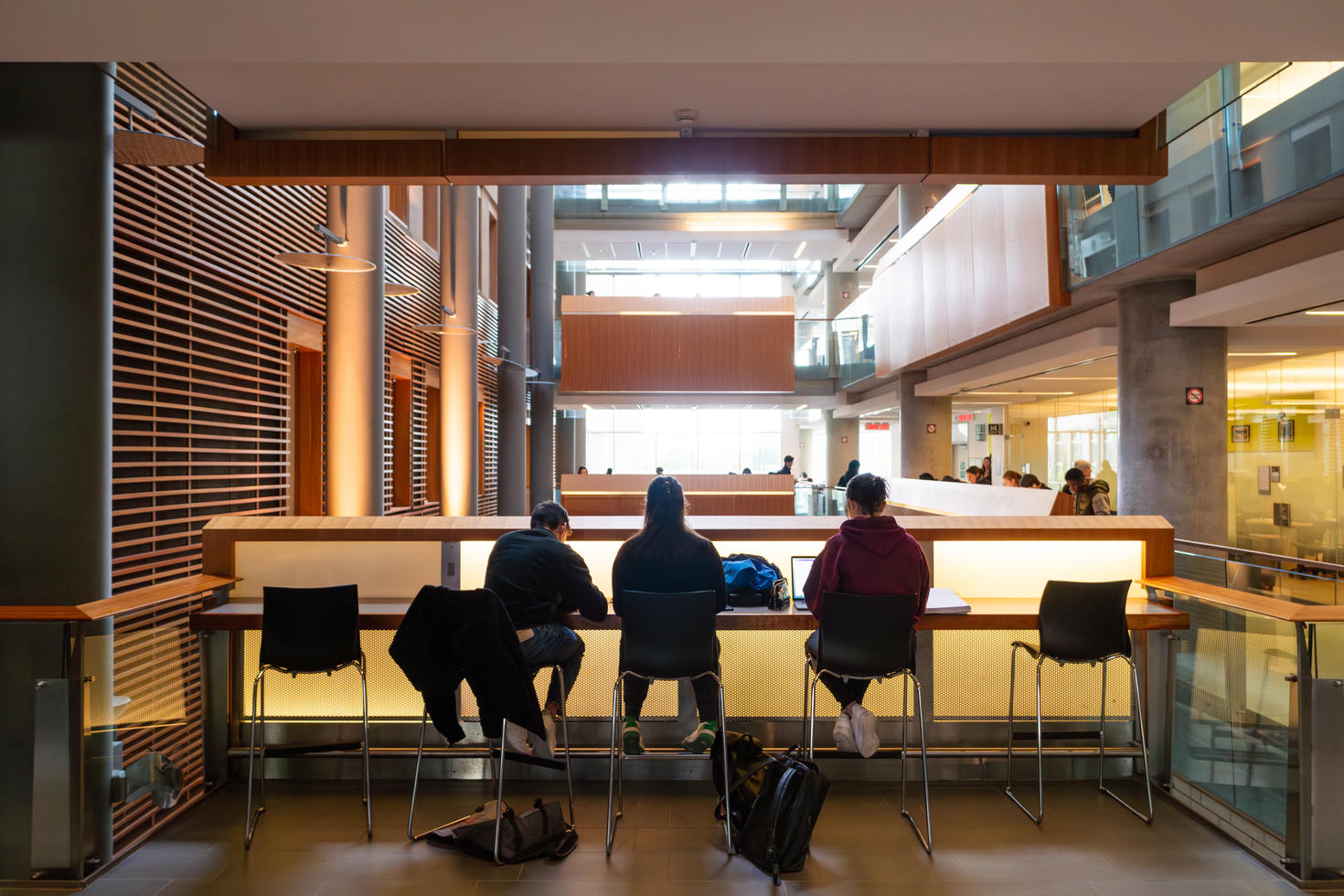 students studying in FSS